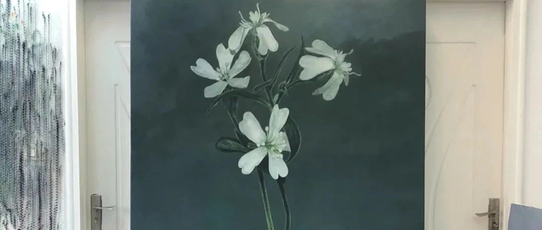 蔡应：画画，现在我可以把控