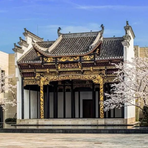 视频号丨春之落樱：上海朱家角安麓酒店