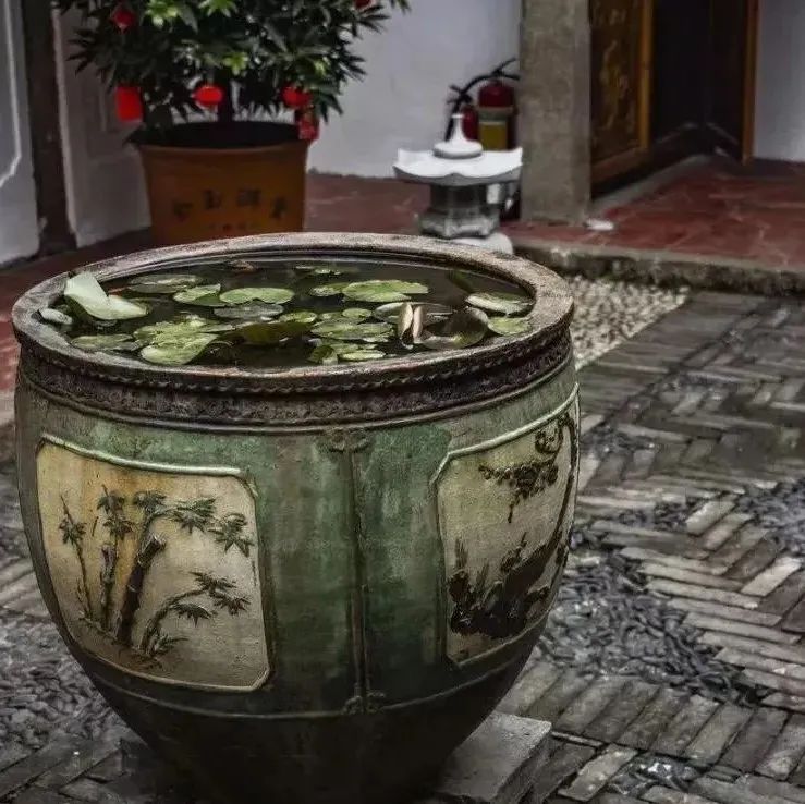 庭院 · 老缸