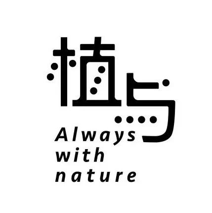 线构类字体设计（67）