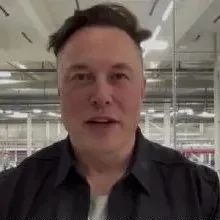 全职网红马斯克？