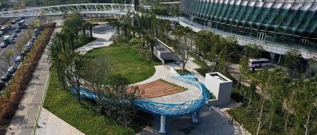 2公里滨海廊桥，12处艺术图景勾勒宝安未来