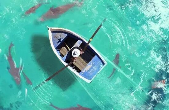 色彩浪漫宛如梦境！画面极具奇幻色彩，Jocelin Carmes作品分享-7.GAME