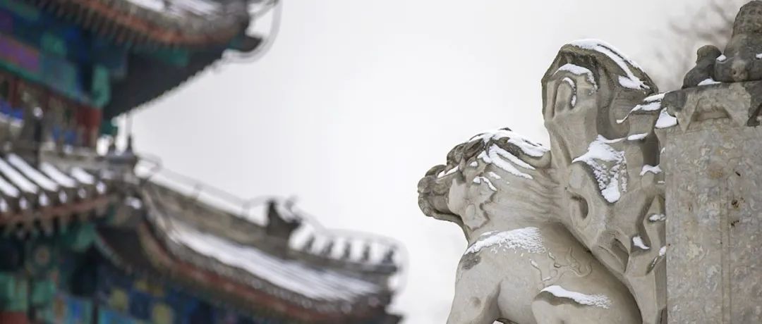 第三次土拍，谁是明日顶流