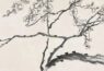 中国美术馆藏 齐白石《梅花册》
