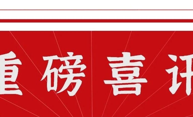 喜报 | 不负耕耘，荣膺嘉奖