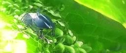 元宇宙数据“生物体”的可能性：AI、web3.0、社交经济