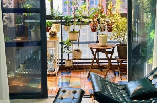 1平米居家空间也能打造菜园？她们说完全可以！