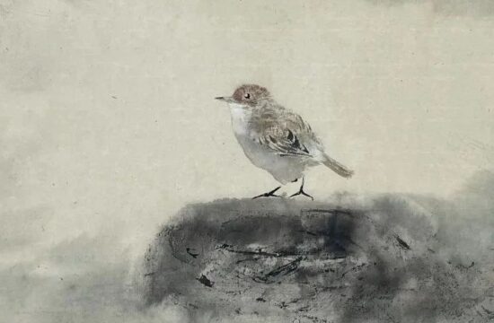雅昌专稿 | 项兴明：以传统笔意绘花鸟画新意