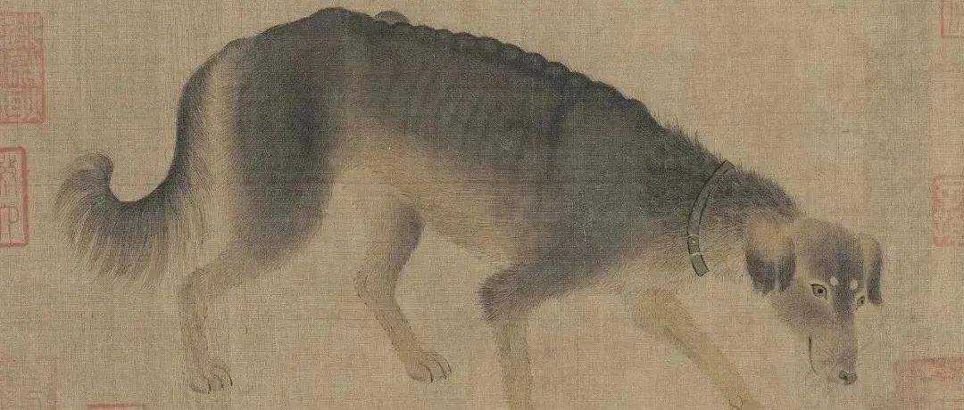 宋画里的生活丨宋人是这样养宠物狗宠物猫的