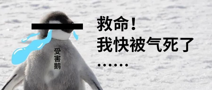 救命！幸好有它，不然我快被甲方气死了