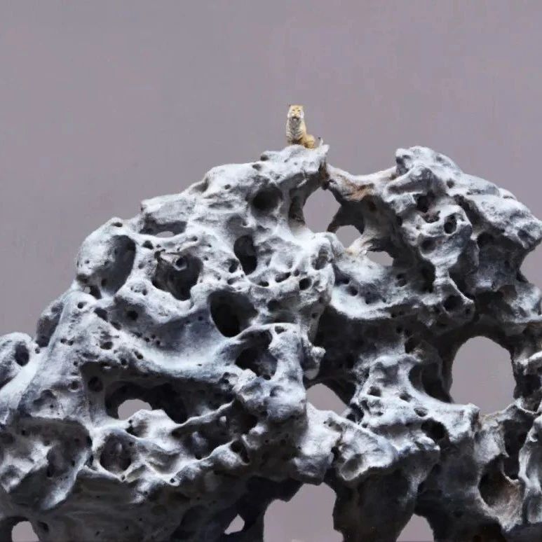 静 • 观—全国静物油画展作品选登（二）