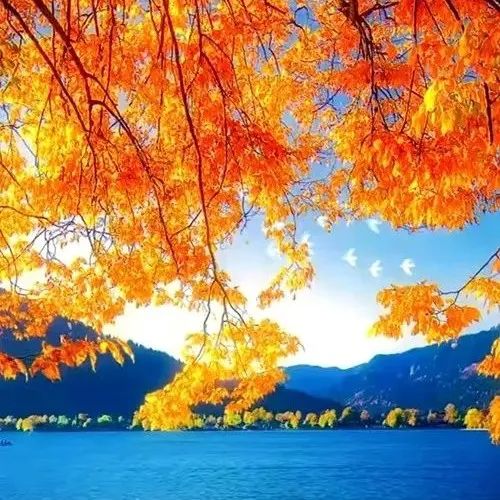 梁实秋：愿生命从容
