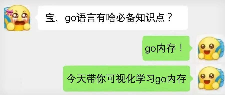揭秘go内存！