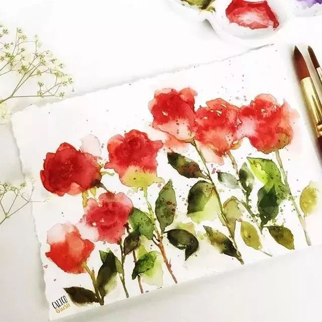 Svetlana Novko水彩花卉绘画作品欣赏