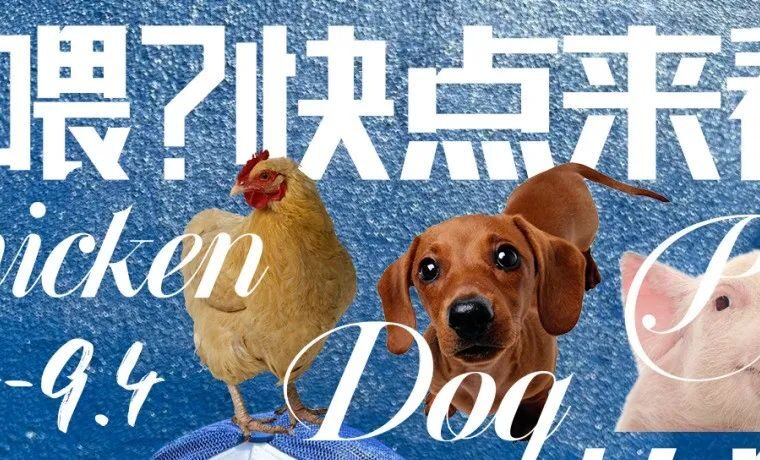 YES ART展览 | 是鸡仔？是狗仔？还是猪仔？