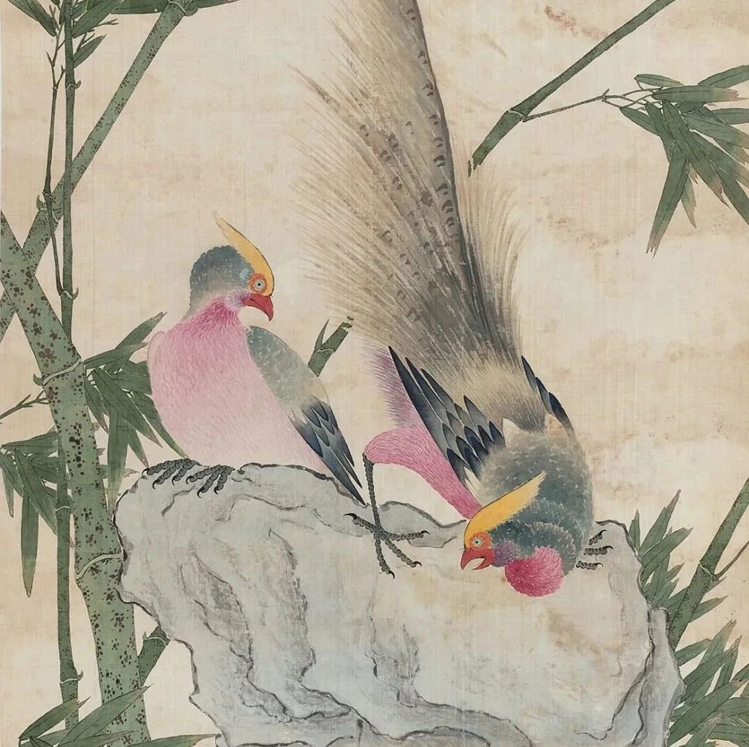 清-张槃花鸟画雅赏