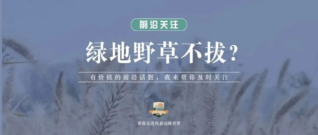 北京绿化重申，野草也需要管理？| 前沿关注