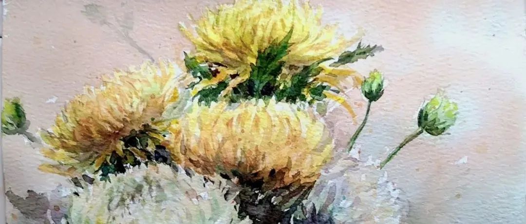 画意水彩团练 有没有让你惊艳的作品呢