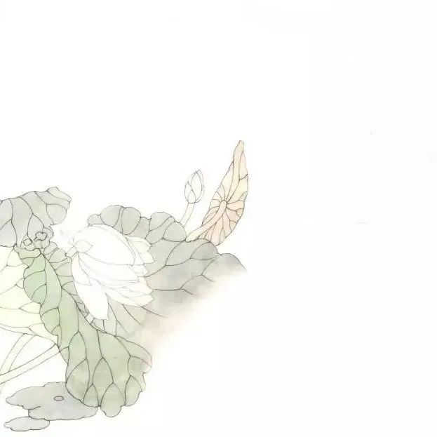 【国画教程】工笔荷花之泼彩画法