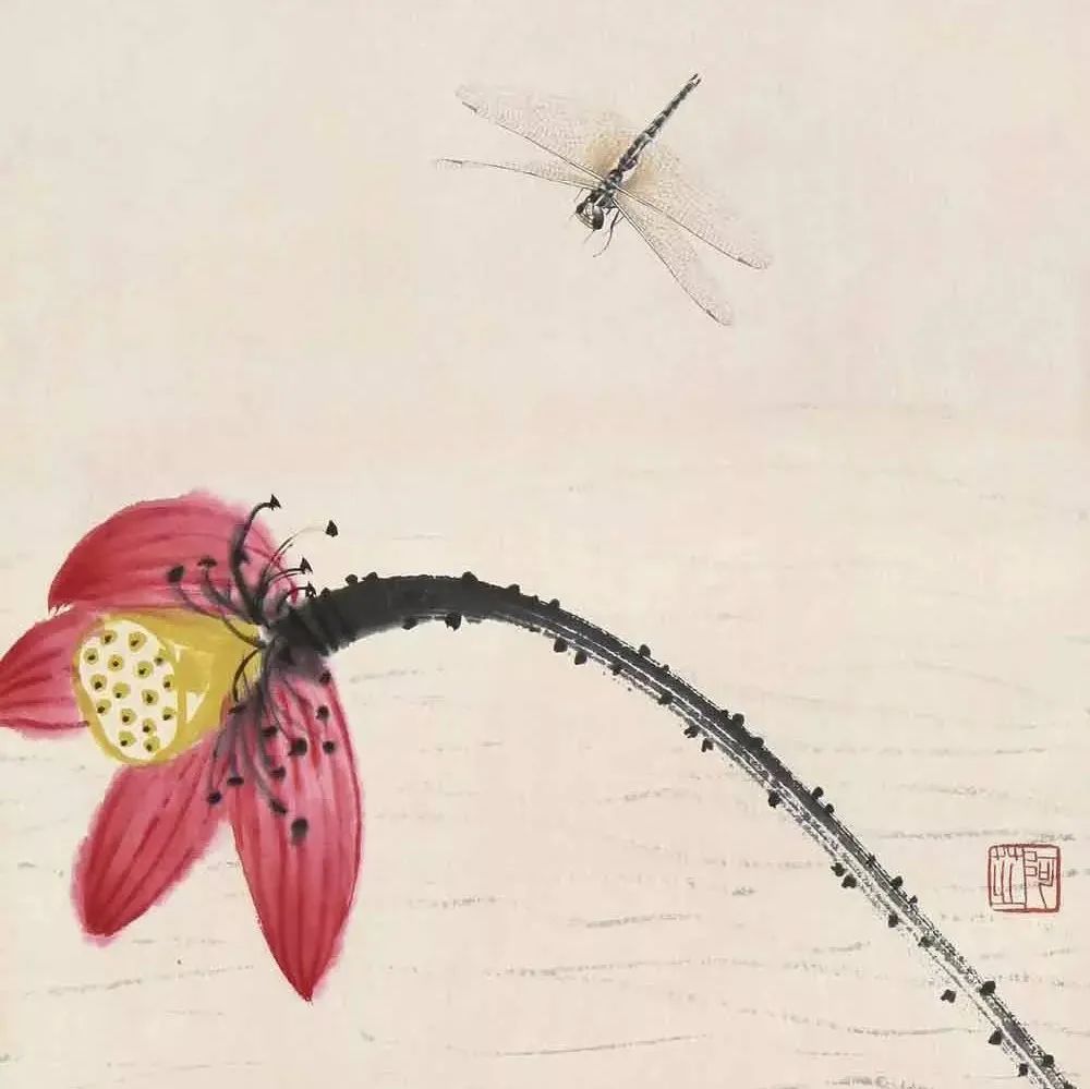 齐白石绘画作品，荷花蜻蜓