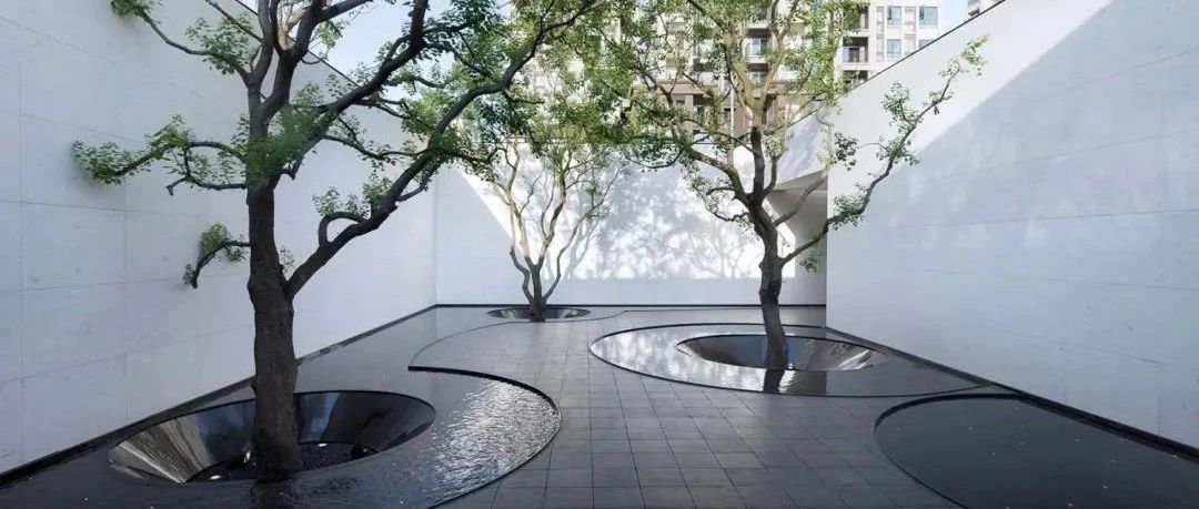 树池玩好了，也是一道风景！