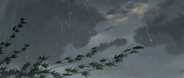 （现场图）给花样年下跪的一群人