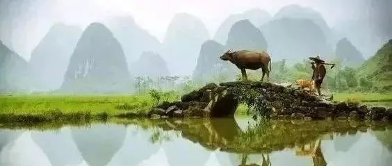 这些桥，美成了水墨画！
