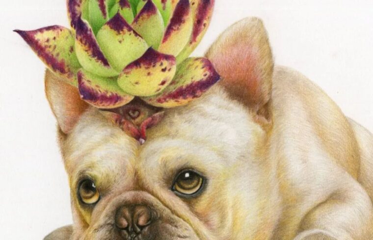 彩铅小米与石石绘画作品欣赏
