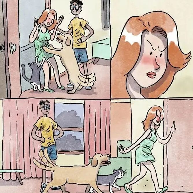 猫狗宠物漫画后续来了，像是看了一部电影，让人心里暖暖的