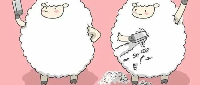 ​一言不合就掀桌子，这组“贱兮兮”的小动物插图，让人笑出眼泪