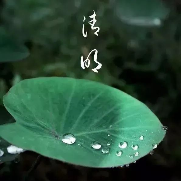 清明，思故人。