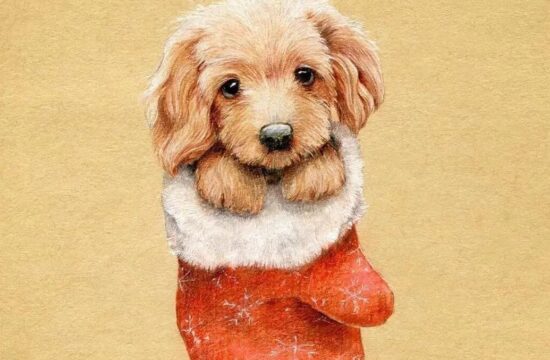 一组彩铅水彩插画来自插画师cheboksarka