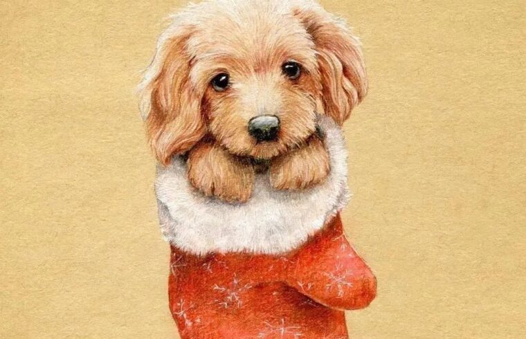 一组彩铅水彩插画来自插画师cheboksarka