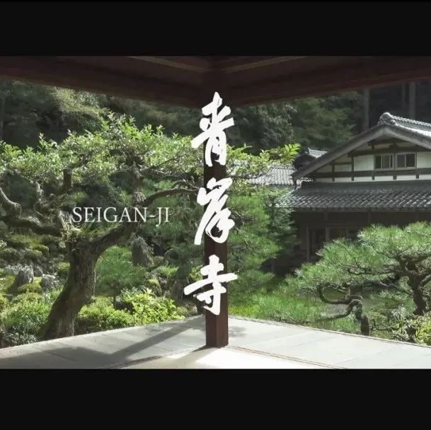视频号丨日本庭園：青岸寺 · 近江