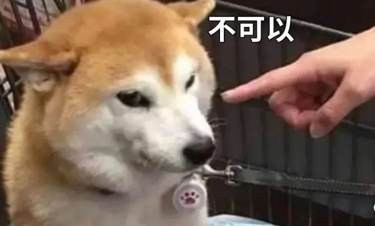 p站开始禁止部分瑟瑟与重口味题材的付费服务