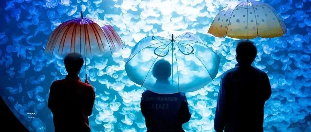 日本人搞设计 ，一不小心就治愈了整个世界！网友：暖到心坎里
