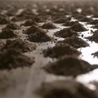 张震宇用灰尘做个镜子