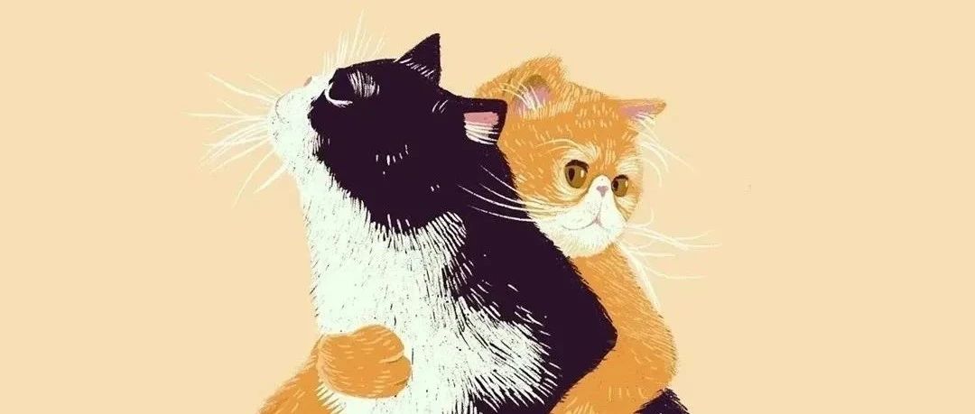 这画中的小猫咪，真逗趣！