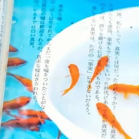 夏日清涼感，可以养金鱼的书签创意！