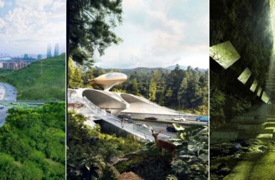 方案评审结果 | 深圳市梅林山-银湖山生态游憩廊桥方案设计国际竞赛