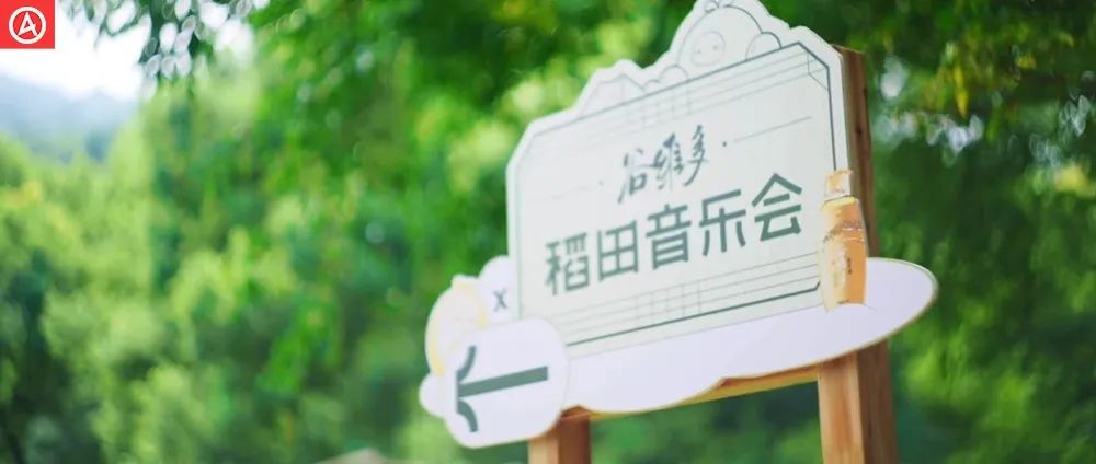 女性向态度营销扎堆，只有谷维多玩成了一股清流