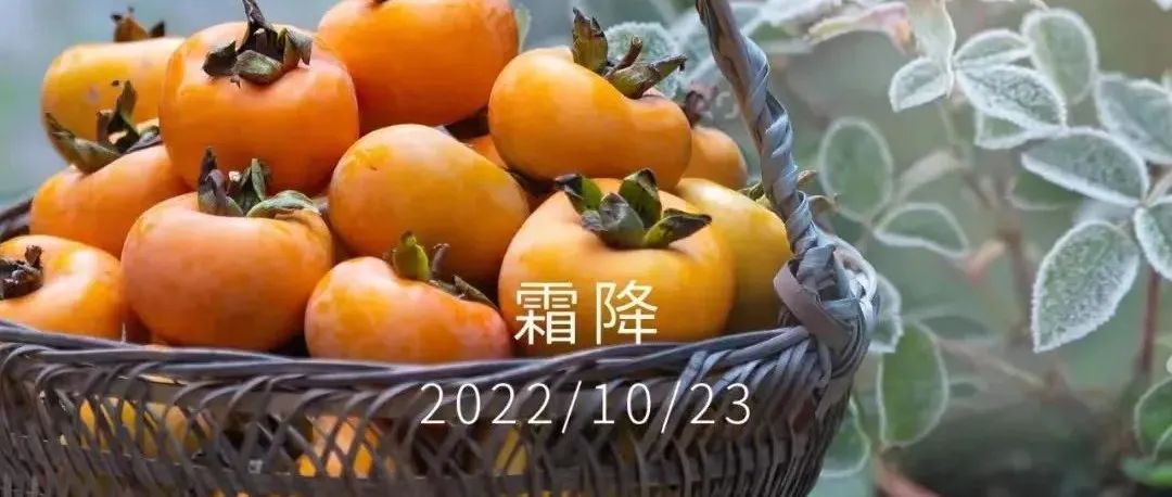 【节气-霜降】2022霜降地产微信海报精选鉴赏