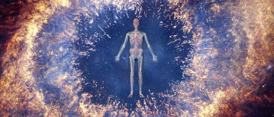 医疗领域“老兵”直觉睿视 致力打造BodyVerse躰宇宙