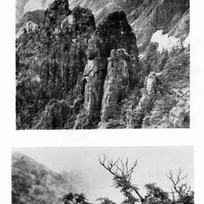 尽写奇峰”：看张大千、钱瘦铁的痴迷黄山