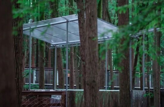 水上森林公园临时展亭 ：以最大的程度融入自然 / 已知建筑
