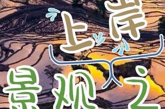 “景观上岸” 宝藏省份！2023年云南省公务员招考宠爱景观人~