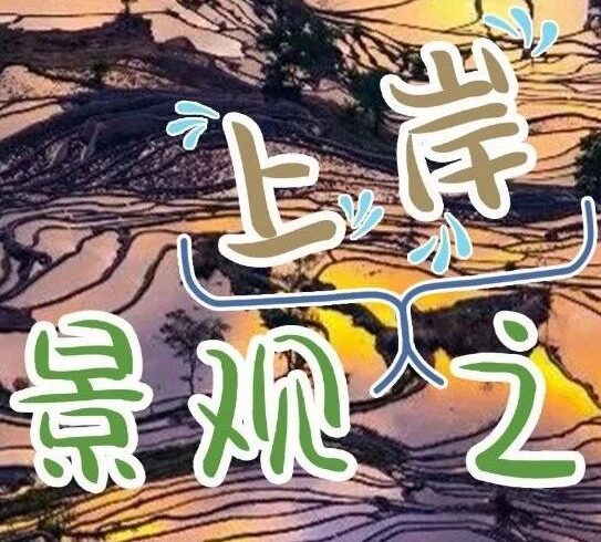 “景观上岸” 宝藏省份！2023年云南省公务员招考宠爱景观人~