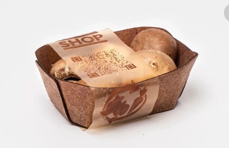 产品的材质美——“果皮”
