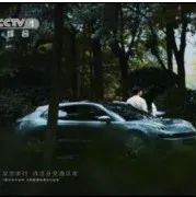 携手“品牌强国工程”，这些民族品牌2022年增长强劲